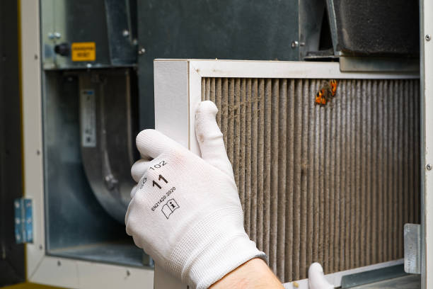Air Duct Mold Removal in Folcroft, PA